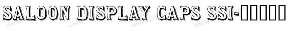 Saloon Display Caps SSi字体转换